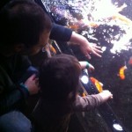 bassin tactile