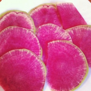 radis pamplemousse
