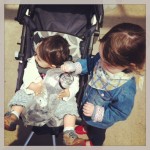 minis à l'animalerie