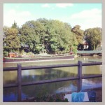 brocante sous le soleil